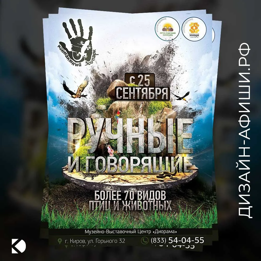 Дизайн афиши: Контактный зоопарк с птицами